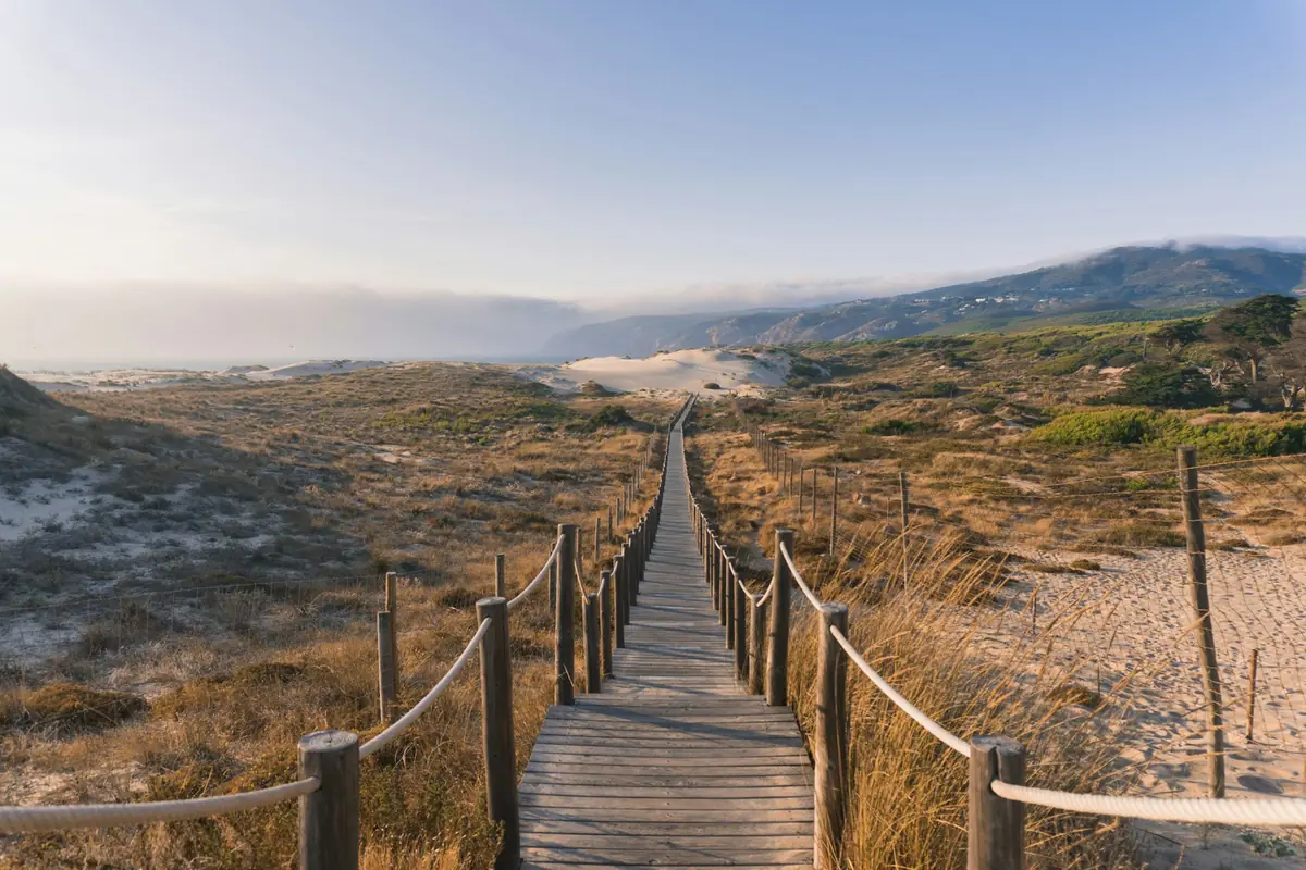 Passerelle en bois entre les dunes, ouverte vers l’horizon